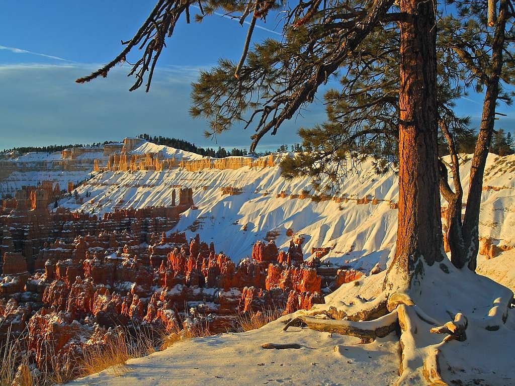 A Guide to Rock Climbing in Red Rock Canyon